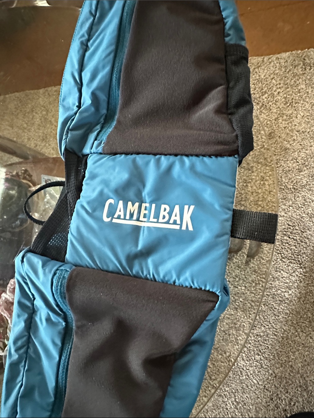 CamelBak Blue Fanny Pack
